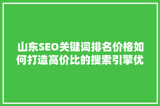 山东SEO关键词排名价格如何打造高价比的搜索引擎优化步骤