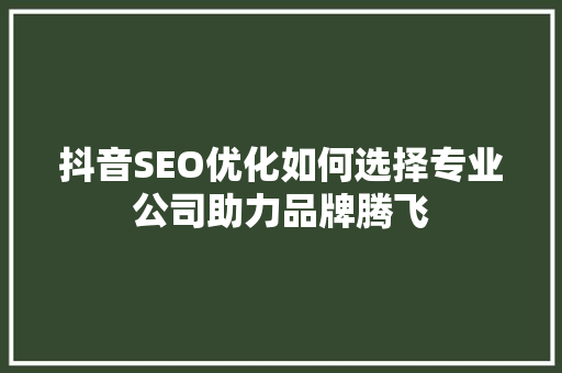 抖音SEO优化如何选择专业公司助力品牌腾飞
