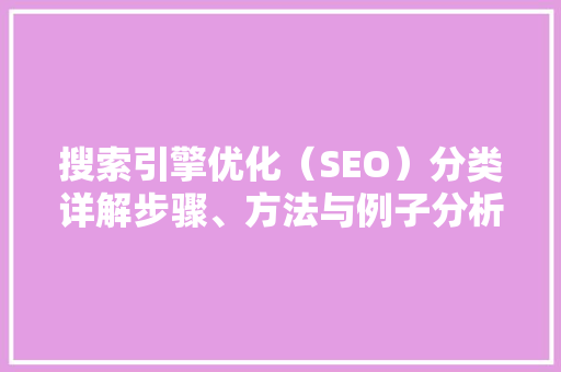 搜索引擎优化（SEO）分类详解步骤、方法与例子分析