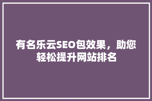 有名乐云SEO包效果，助您轻松提升网站排名