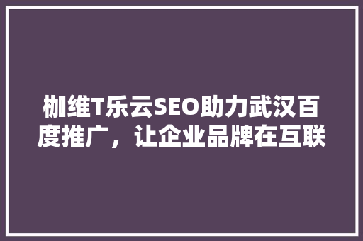 枷维T乐云SEO助力武汉百度推广，让企业品牌在互联网时代脱颖而出