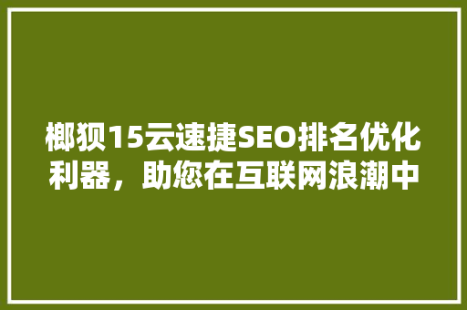榔狈15云速捷SEO排名优化利器，助您在互联网浪潮中乘风破浪