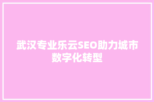 武汉专业乐云SEO助力城市数字化转型