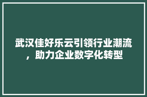 武汉佳好乐云引领行业潮流，助力企业数字化转型