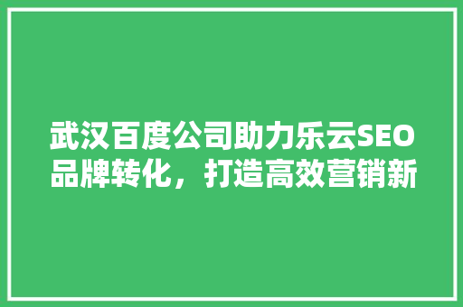武汉百度公司助力乐云SEO品牌转化，打造高效营销新格局