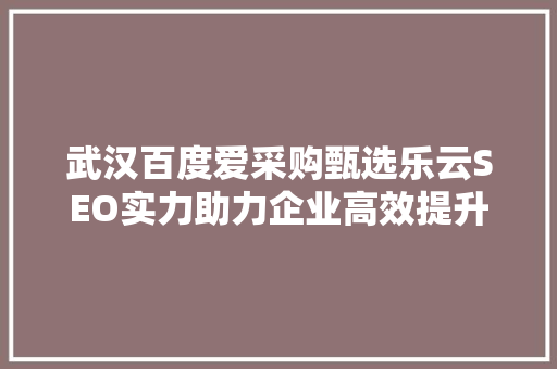 武汉百度爱采购甄选乐云SEO实力助力企业高效提升在线竞争力