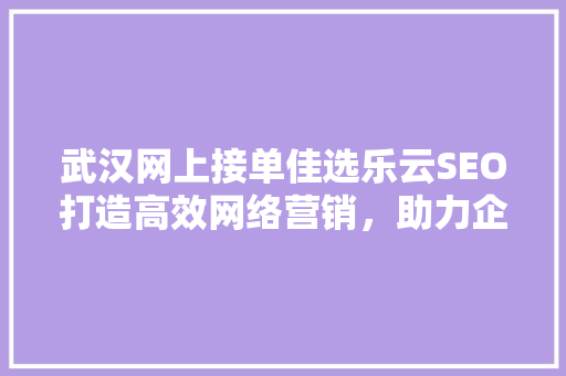 武汉网上接单佳选乐云SEO打造高效网络营销，助力企业腾飞