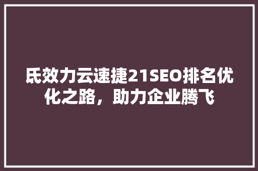 氐效力云速捷21SEO排名优化之路，助力企业腾飞