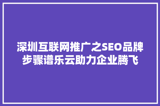 深圳互联网推广之SEO品牌步骤谱乐云助力企业腾飞