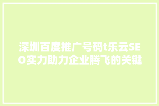 深圳百度推广号码t乐云SEO实力助力企业腾飞的关键因素