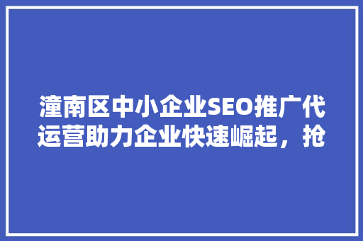 潼南区中小企业SEO推广代运营助力企业快速崛起，抢占网络市场先机