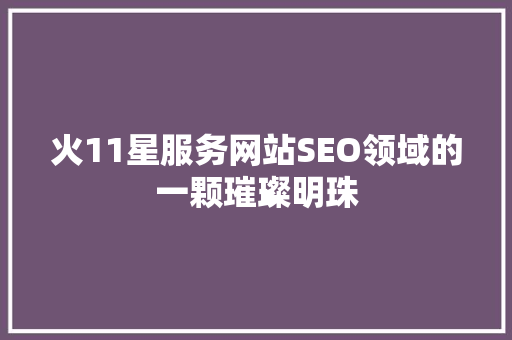火11星服务网站SEO领域的一颗璀璨明珠