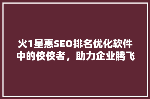 火1星惠SEO排名优化软件中的佼佼者，助力企业腾飞