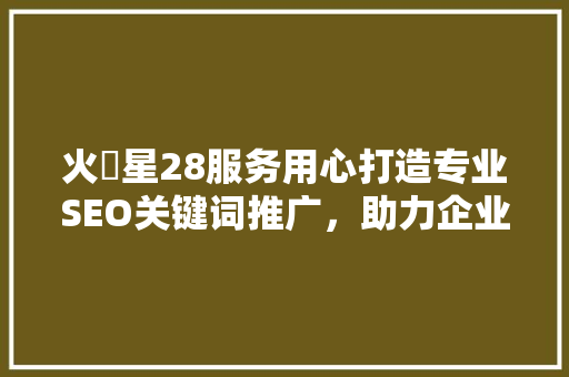火乚星28服务用心打造专业SEO关键词推广，助力企业腾飞