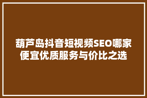 葫芦岛抖音短视频SEO哪家便宜优质服务与价比之选