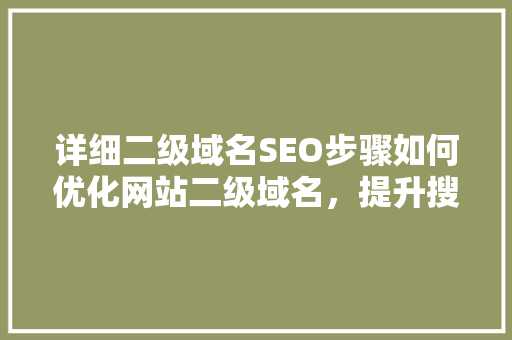 详细二级域名SEO步骤如何优化网站二级域名，提升搜索引擎排名