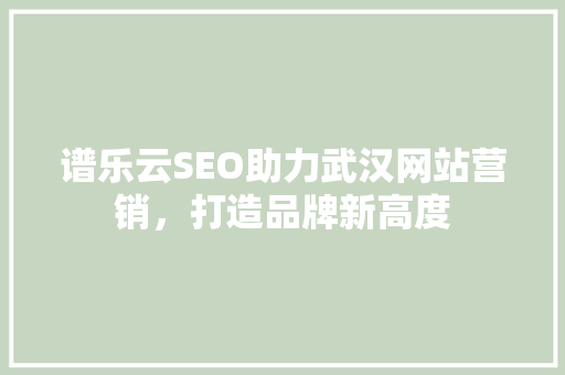 谱乐云SEO助力武汉网站营销，打造品牌新高度