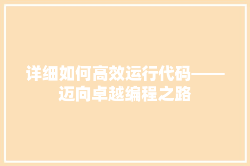 详细如何高效运行代码——迈向卓越编程之路
