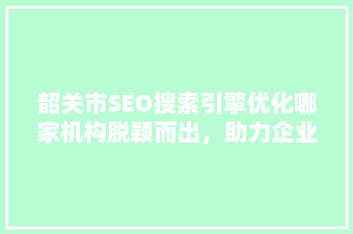 韶关市SEO搜索引擎优化哪家机构脱颖而出，助力企业腾飞