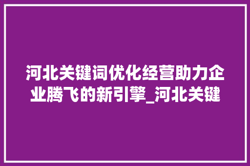 河北关键词优化经营助力企业腾飞的新引擎_河北关键词优化经营