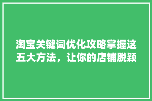 淘宝关键词优化攻略掌握这五大方法，让你的店铺脱颖而出_淘宝哪些关键词需要优化