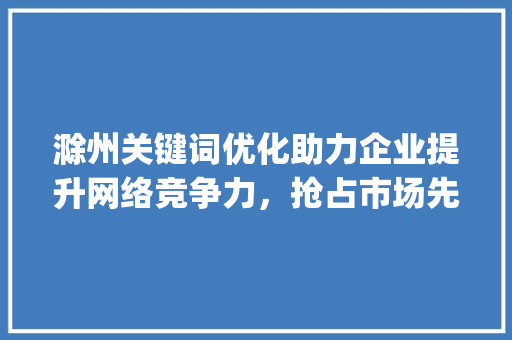滁州关键词优化助力企业提升网络竞争力，抢占市场先机_滁州关键词优化选哪家