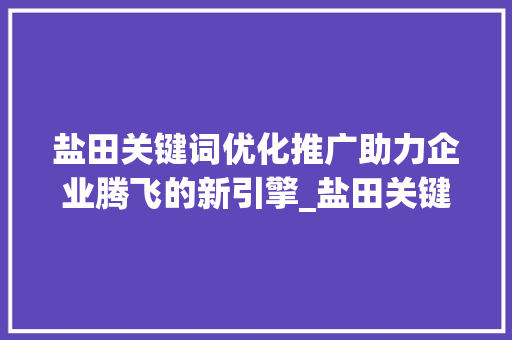 盐田关键词优化推广助力企业腾飞的新引擎_盐田关键词优化推广