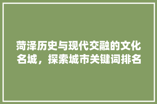 菏泽历史与现代交融的文化名城，探索城市关键词排名优化之路_菏泽关键词排名优化