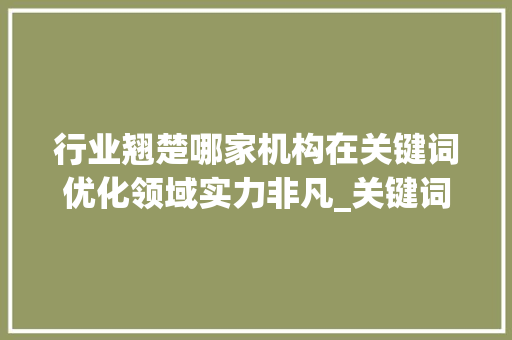 行业翘楚哪家机构在关键词优化领域实力非凡_关键词优化哪家有实力
