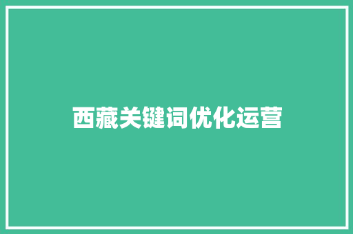 西藏关键词优化运营