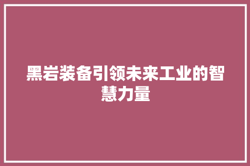 黑岩装备引领未来工业的智慧力量