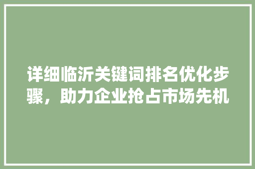 详细临沂关键词排名优化步骤，助力企业抢占市场先机_临沂关键词排名优化