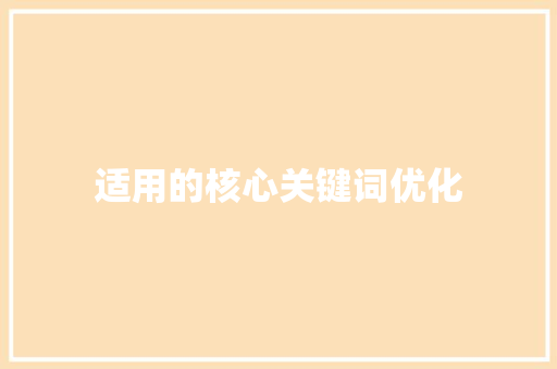 适用的核心关键词优化