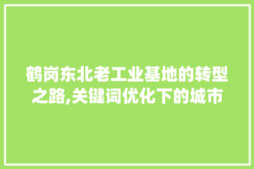 鹤岗东北老工业基地的转型之路,关键词优化下的城市新篇章_鹤岗网站关键词优化