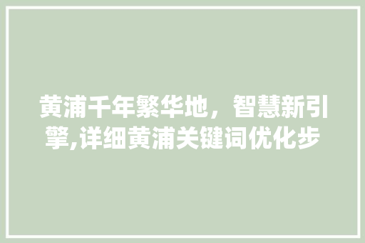 黄浦千年繁华地，智慧新引擎,详细黄浦关键词优化步骤_黄浦网站关键词优化