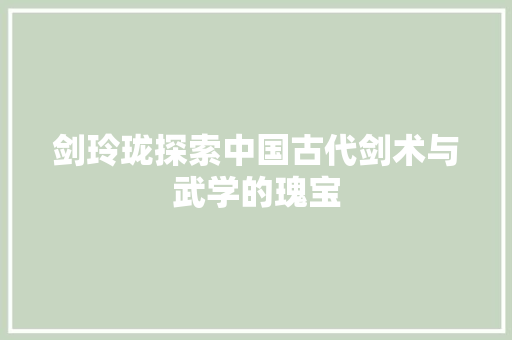 剑玲珑探索中国古代剑术与武学的瑰宝