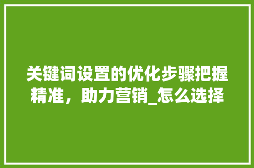 关键词设置的优化步骤把握精准，助力营销_怎么选择优化关键词设置  第1张
