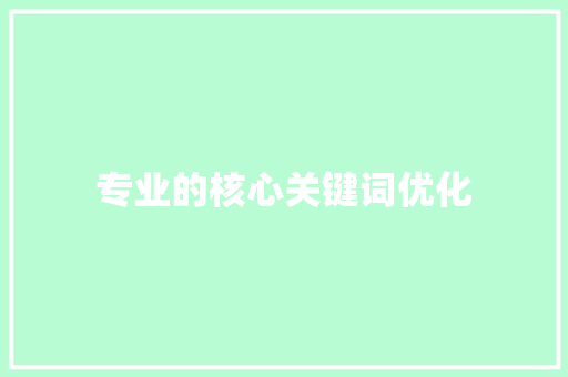 专业的核心关键词优化