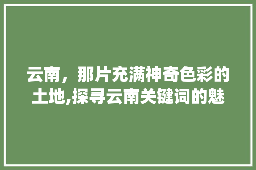 云南，那片充满神奇色彩的土地,探寻云南关键词的魅力_云南关键词优化师