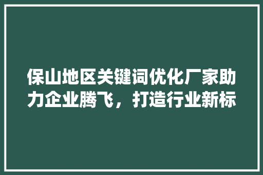 保山地区关键词优化厂家助力企业腾飞，打造行业新标杆_保山关键词优化厂家