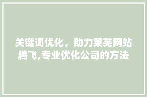 关键词优化，助力莱芜网站腾飞,专业优化公司的方法_莱芜网站关键词优化公司