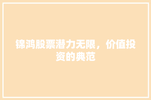锦鸿股票潜力无限，价值投资的典范