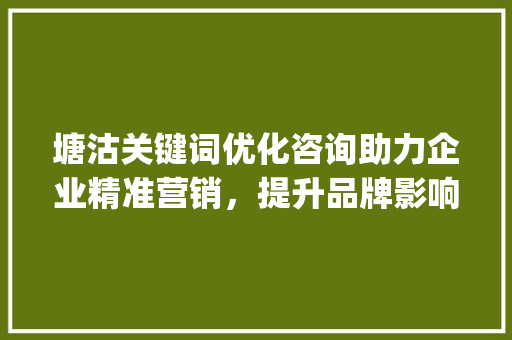 塘沽关键词优化咨询助力企业精准营销，提升品牌影响力_塘沽关键词优化咨询