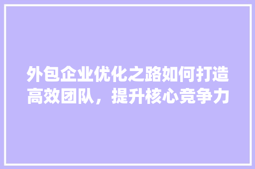 外包企业优化之路如何打造高效团队，提升核心竞争力_关键词优化外包企业