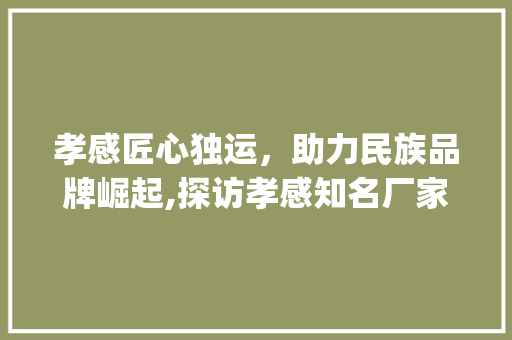 孝感匠心独运，助力民族品牌崛起,探访孝感知名厂家_孝感关键词优化厂家