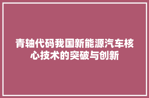 青轴代码我国新能源汽车核心技术的突破与创新