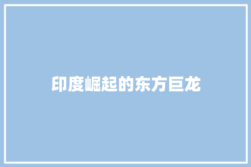 印度崛起的东方巨龙