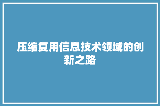 压缩复用信息技术领域的创新之路