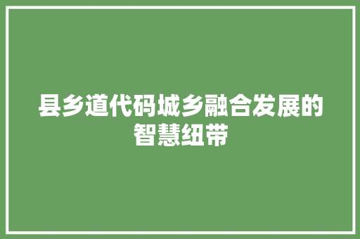 县乡道代码城乡融合发展的智慧纽带