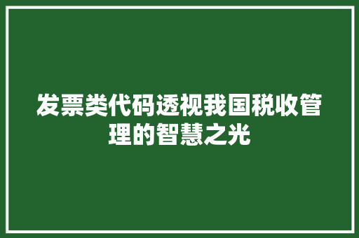 发票类代码透视我国税收管理的智慧之光